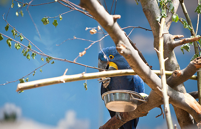 短信压力测试平台