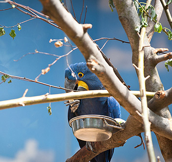 先进且具有开创性的在线手机号平台