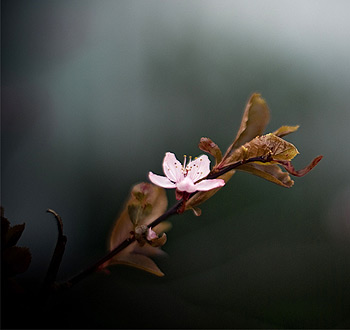 短信压力测试平台