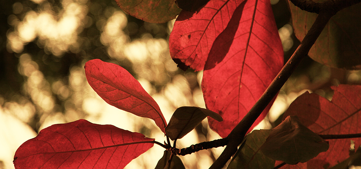 短信压力测试在线网页版