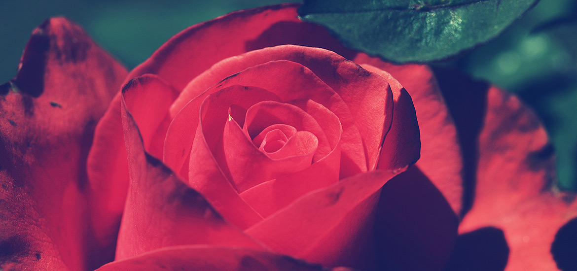 自动发货渠道的在线手机号平台